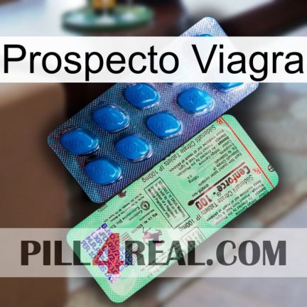 Prospecto Viagra new02